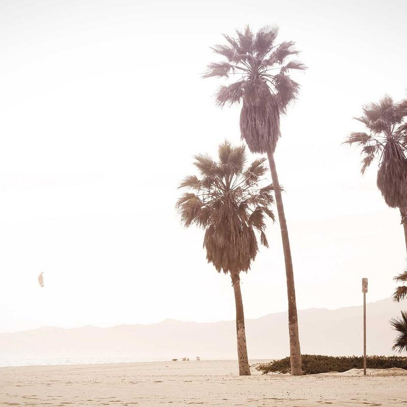 Instagram Vertical Feed